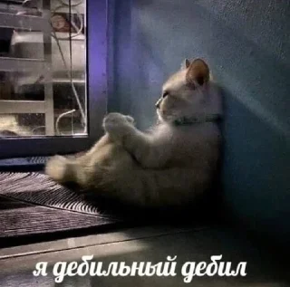 🌟 emoji Я уверяю мне можно доверить ог Telegram sticker 17 of 87
