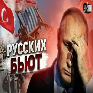 💪 emoji лиси хуї 2 @DaCrocoStickers Telegram sticker 13 of 49