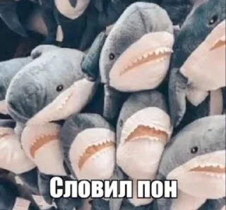 Sticker from Пон