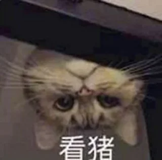 🐷 emoji 奶酪收藏 Telegram sticker 7 of 120
