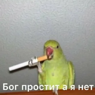 Sticker from марина ультанула жизой
