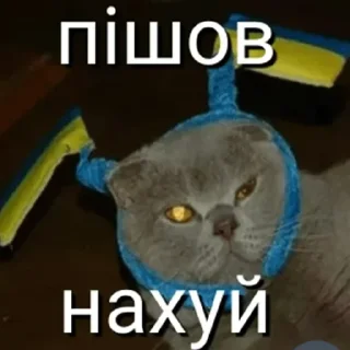 🇺🇦 emoji садок вишневий коло хати Telegram sticker 23 of 120