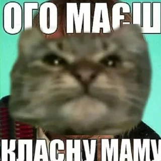 🇺🇦 emoji садок вишневий коло хати Telegram sticker 15 of 120