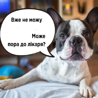🇺🇦 emoji садок вишневий коло хати 4 Telegram sticker 22 of 116