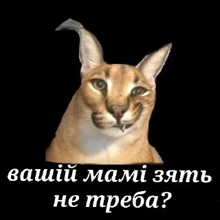 Sticker from ✨В Дупцю Відносини✨ — @stckrRobot