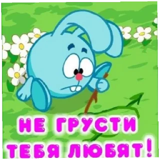 🦔 emoji Ёжик Telegram sticker 18 of 18