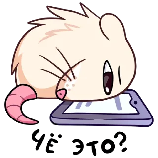 😑 emoji VK Nutri | Default | @d219r Telegram sticker 15 of 24