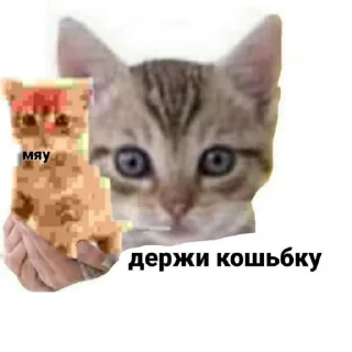 🐱 emoji нефор сити Telegram sticker 18 of 22