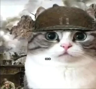 Sticker from свитик сигмо