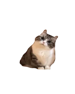 🩷 emoji ебучии шарики @Komaru_World Telegram sticker 22 of 120