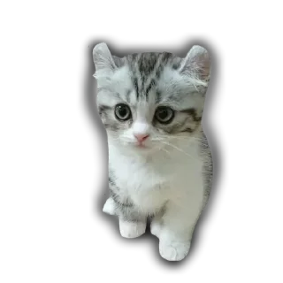🩷 emoji ебучии шарики @Komaru_World Telegram sticker 23 of 120