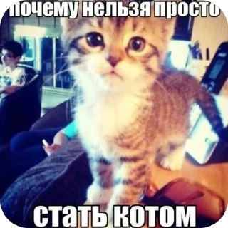 🫥 emoji открытки @qvizas Telegram sticker 18 of 54