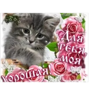 🫥 emoji открытки @qvizas Telegram sticker 20 of 54
