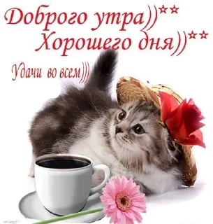 🤓 emoji открытки Telegram sticker 13 of 22