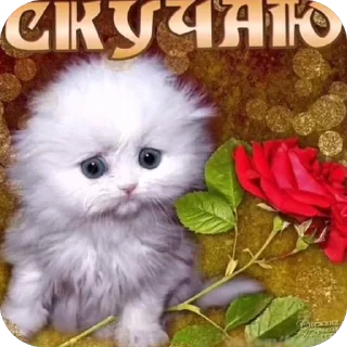 🫥 emoji открытки @qvizas Telegram sticker 9 of 54