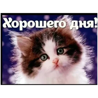 🫥 emoji открытки @qvizas Telegram sticker 16 of 54