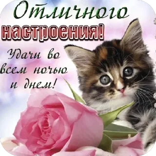 🫥 emoji открытки @qvizas Telegram sticker 7 of 54