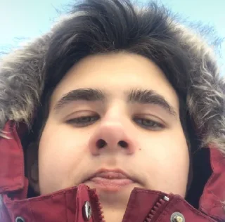 🥸 emoji лысый Telegram sticker 8 of 55