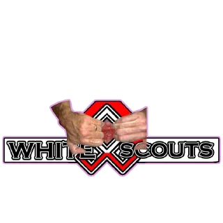 👐 emoji х ВАЙТ СКОТ х Telegram sticker 21 of 50