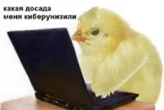 🐥 emoji это конец.. @gifstiki 👍 Telegram sticker 17 of 113