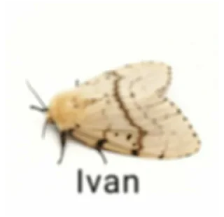 🏳 emoji Я ебала :: мамми Telegram sticker 6 of 24