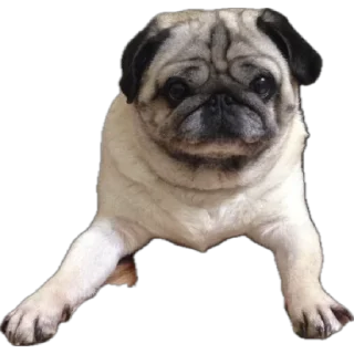 😊 emoji ФросяПак Telegram sticker 18 of 21