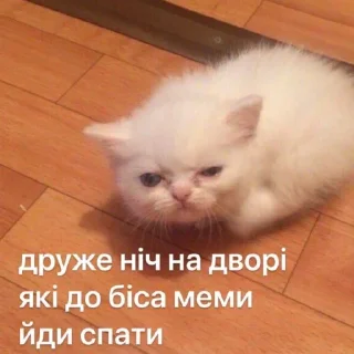 Sticker from меми