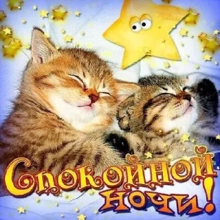Sticker from меми