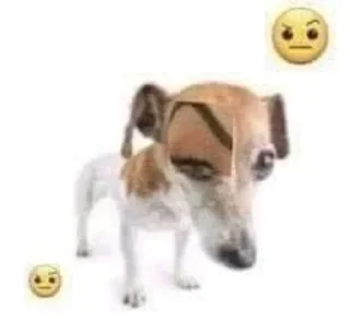 🤨 emoji шмек Telegram sticker 7 of 65