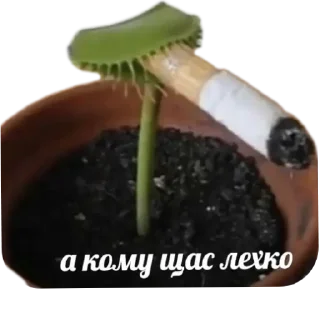 Sticker from Шиза