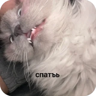 🫥 emoji Негр Telegram sticker 5 of 30