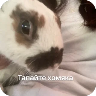 Sticker from Негр