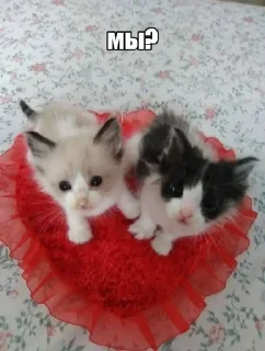 💋 emoji от мирки💋 Telegram sticker 11 of 98