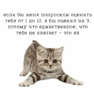 💋 emoji от мирки💋 Telegram sticker 9 of 98