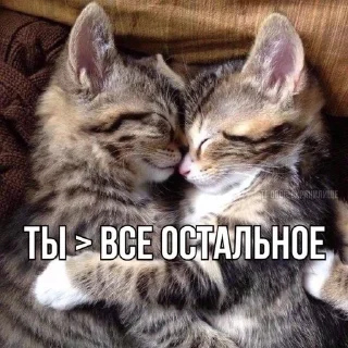 💖 emoji от мирки💋 Telegram sticker 12 of 98