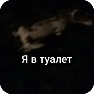 🐶 emoji Джек Telegram sticker 11 of 11