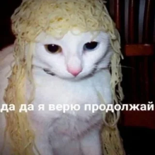 Sticker from улугбек и коты