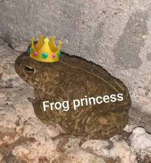 🐸 emoji Frog swimming in champagne Telegram sticker 17 of 89