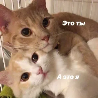 ❤️ emoji Больше стиков тут: @stikery4 Telegram sticker 13 of 120