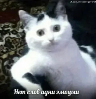 😐 emoji Больше стиков тут: @stikery4 Telegram sticker 5 of 120