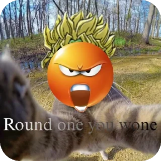 🐱 emoji Ода раундвин из чата МЧС Telegram sticker 11 of 91