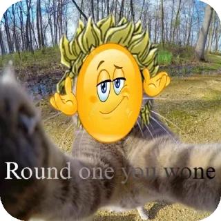🐱 emoji Ода раундвин из чата МЧС Telegram sticker 23 of 91