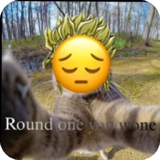 👍 emoji Ода раундвин из чата МЧС Telegram sticker 9 of 91