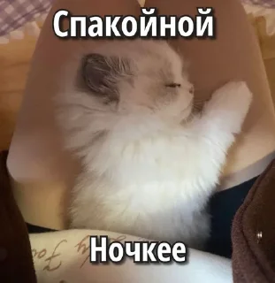 Sticker from Впервые т34 видят