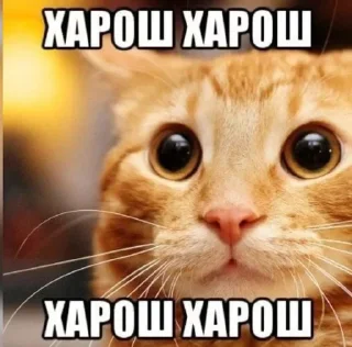 Sticker from Ебейшие стикеры