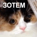 ❗ emoji Aainalaiyn v.2 — @stckrRobot Telegram sticker 9 of 114
