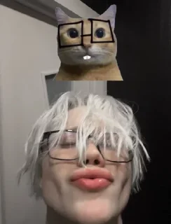 😍 emoji лева ➡️ @Ctikerubot Telegram sticker 7 of 24