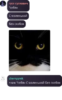 👄 emoji И.Н.С.Л.Т чат pack by @QuotLyBot Telegram sticker 20 of 120