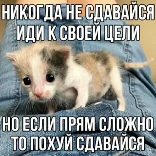 ❤️ emoji гагага ➡️ @Ctikerubot Telegram sticker 10 of 75
