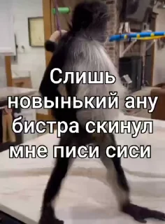 Sticker from Стикеры Иван Чая пон 2 ➡️ @Ctikerubot